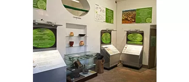 Museo "Homo Sapiens e Habitat" Fondazione Marcello Zei