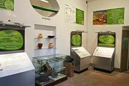 Museo "Homo Sapiens e Habitat" Fondazione Marcello Zei