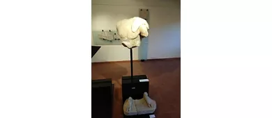 Museo Archeologico Oraziano
