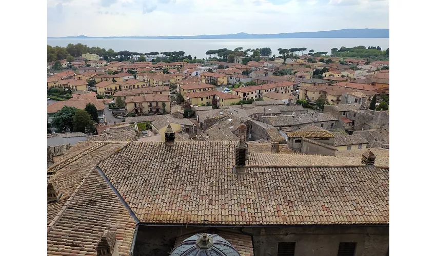 Museo Territoriale del Lago di Bolsena e Acquario