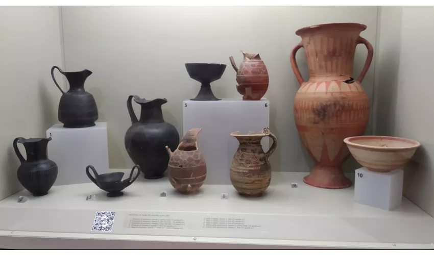 Museo Civico Archeologico