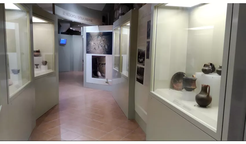 Museu Cívico Arqueológico