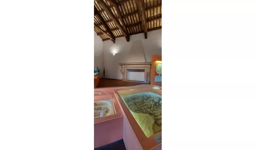 Museo della preistoria della Tuscia e della Rocca Farnese