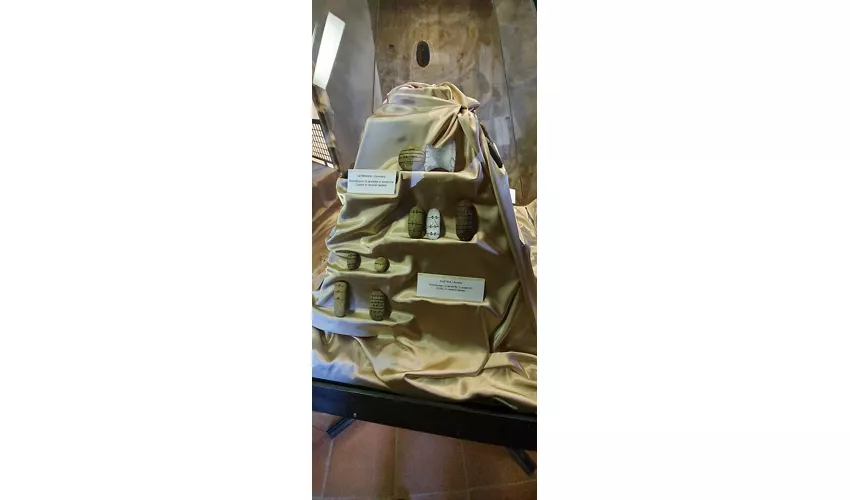 Museo della preistoria della Tuscia e della Rocca Farnese