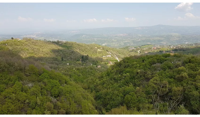 Museo dei Parati Sacri