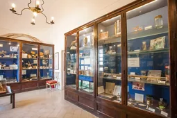 Museo Ignazio Cerio di Capri