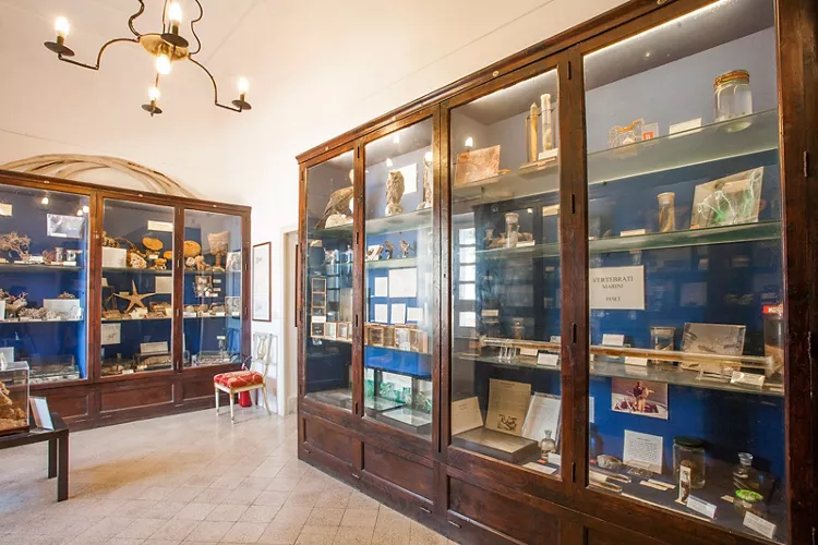 Museo Ignazio Cerio di Capri