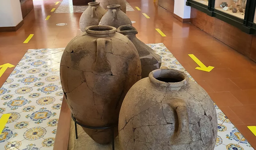 Museo Archeologico di Pithecusae