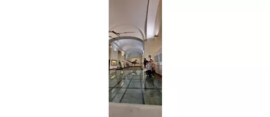 Museo di Paleontologia