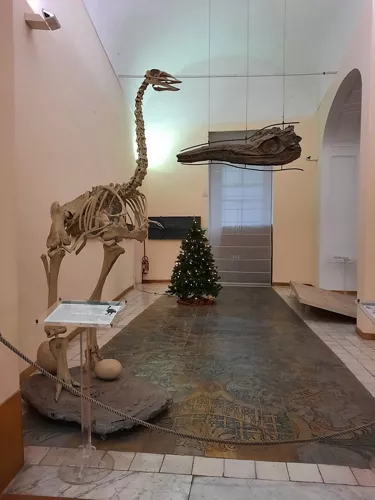 Museo di Paleontologia