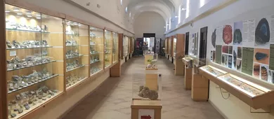 Museo Mineralogico Campano