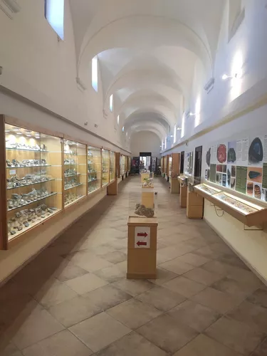 Museo Mineralogico Campano
