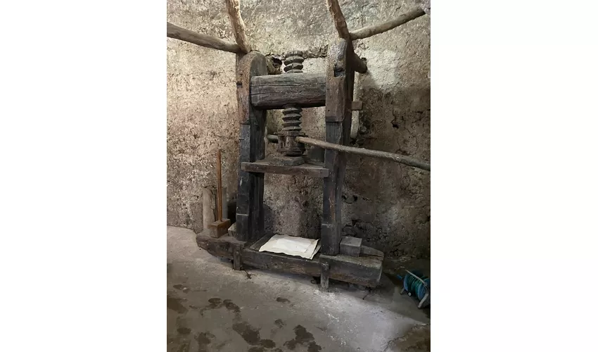 Museo della Carta