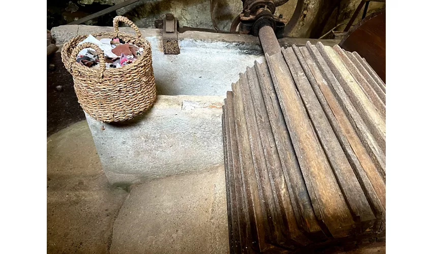 Museo della Carta