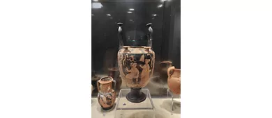 Museo Civico Archeologico "Antonella Fiammenghi"