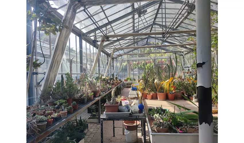 Jardin botanique et herbier