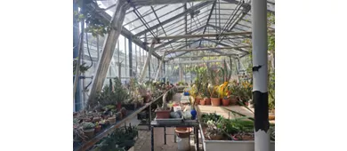 Jardin botanique et herbier