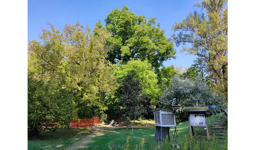 Jardin botanique et herbier