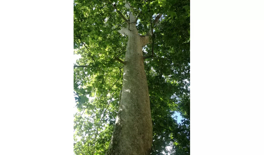 Jardim Botânico e Herbário