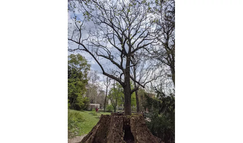 Jardim Botânico e Herbário