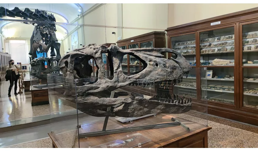 Geologische Sammlung „Museo Giovanni Capellini“