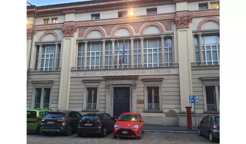 Coleção de Geologia "Museu Giovanni Capellini"