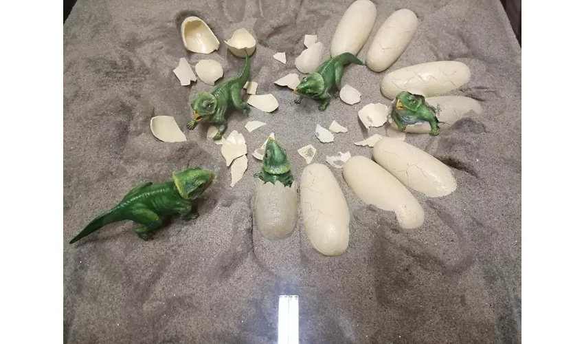 Geologische Sammlung „Museo Giovanni Capellini“