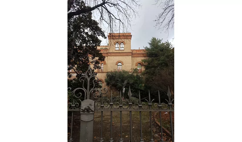 Collezione di Fisica