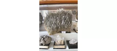 Collezione di Mineralogia "Museo Luigi Bombicci"