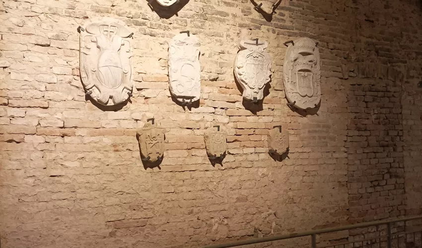 MAF - Museo Archeologico di Forlimpopoli "Tobia Aldini"