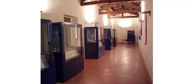 Museo Civico Archeologico Mambrini