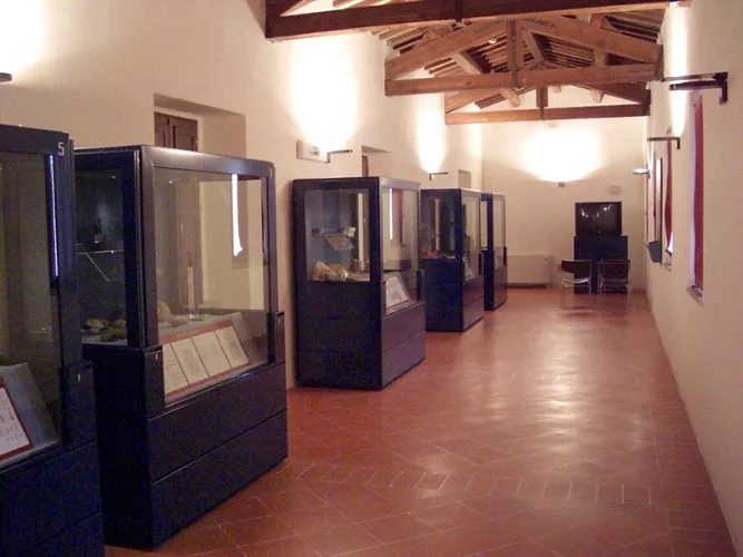 Museo Civico Archeologico Mambrini
