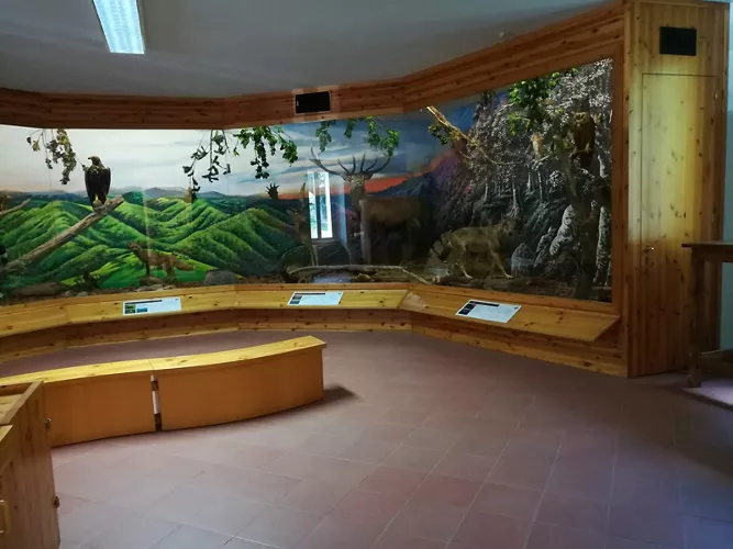 Museo della Fauna