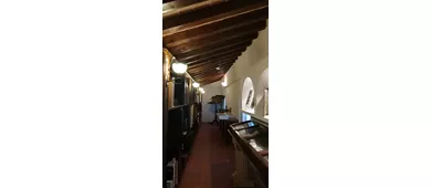 Museo di Arte Povera