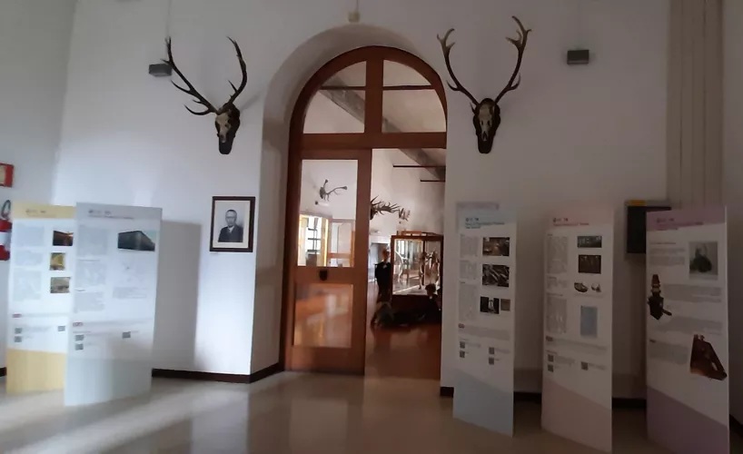 Museo di Paleontologia e Preistoria P. Leonardi