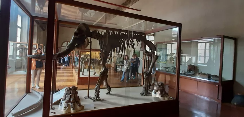 Museo di Paleontologia e Preistoria P. Leonardi