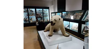 Museo Civico di Storia Naturale di Ferrara