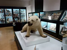 Museo Civico di Storia Naturale di Ferrara
