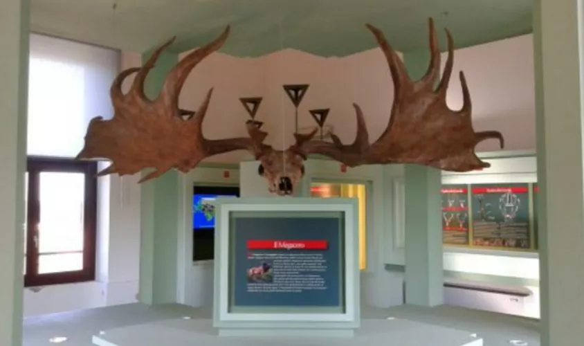 Museo del Cervo e del Bosco della Mesola