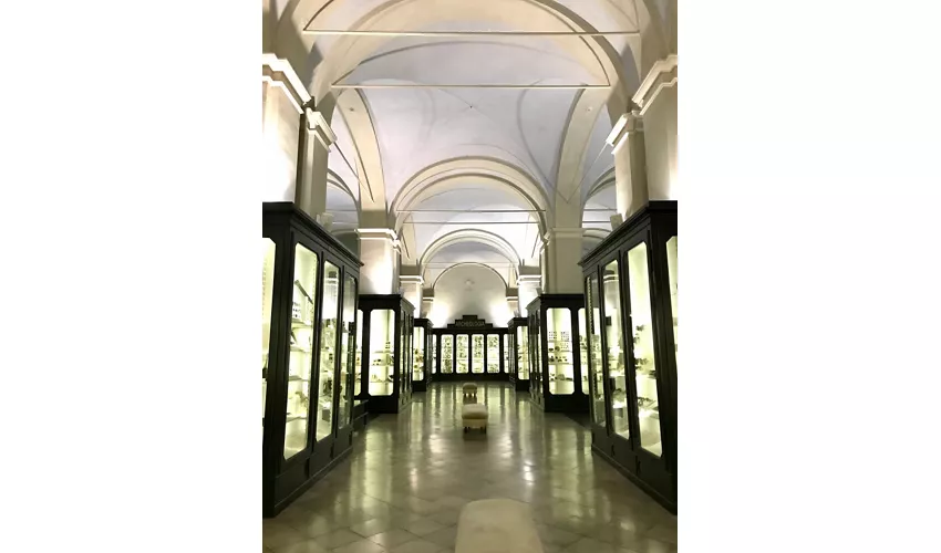 Museu Cívico de Módena