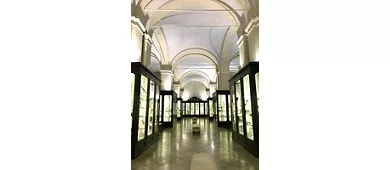 Museu Cívico de Módena