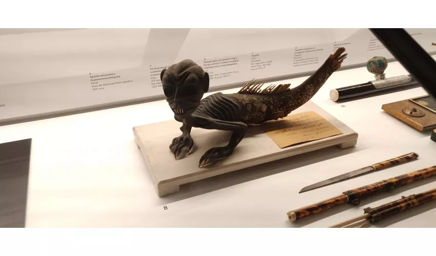 Stadtmuseum von Modena