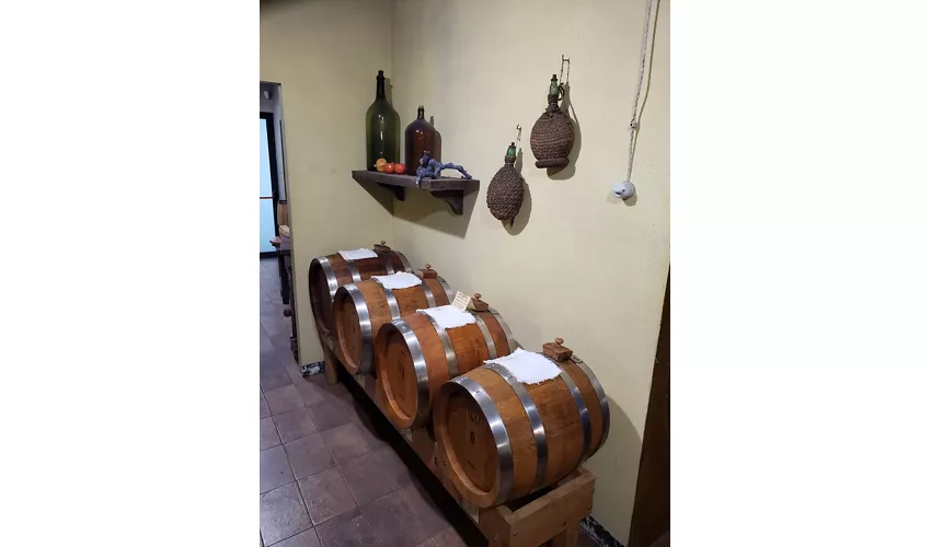 Museu do Vinagre Balsâmico Tradicional de Módena
