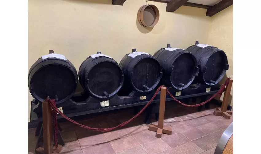 Museum des traditionellen Balsamico-Essigs aus Modena