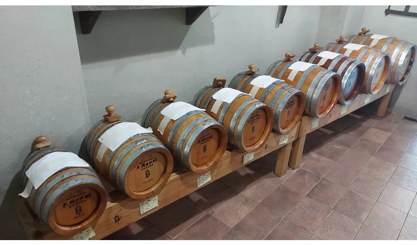 Museu do Vinagre Balsâmico Tradicional de Módena