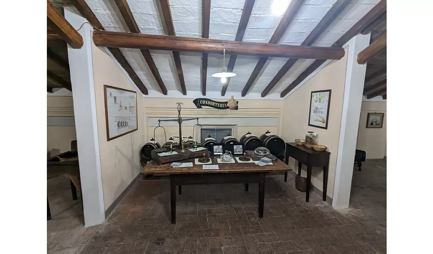 Musée du vinaigre balsamique traditionnel de Modène