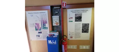 Museo Archeologico di Spilamberto
