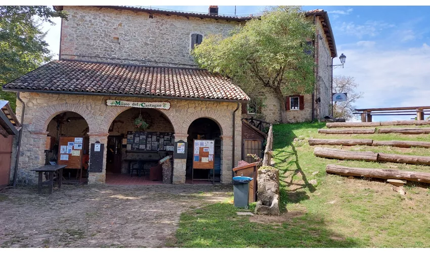 Museo del Castagno e del borlengo ZOCCA(MO)