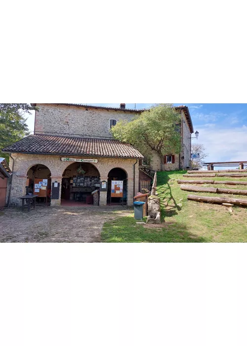 Museo del Castagno e del borlengo ZOCCA(MO)