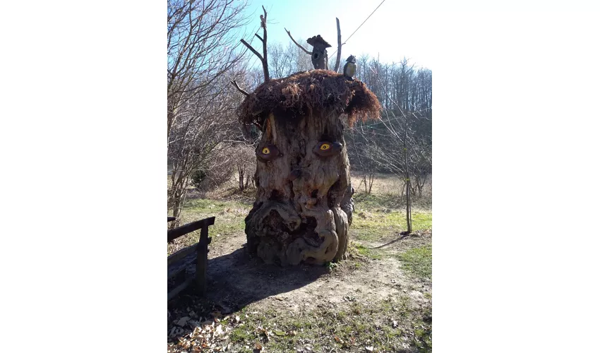 Museum der Kastanie und des Borlengo ZOCCA (MO)